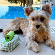 Funda de tela para mascotas