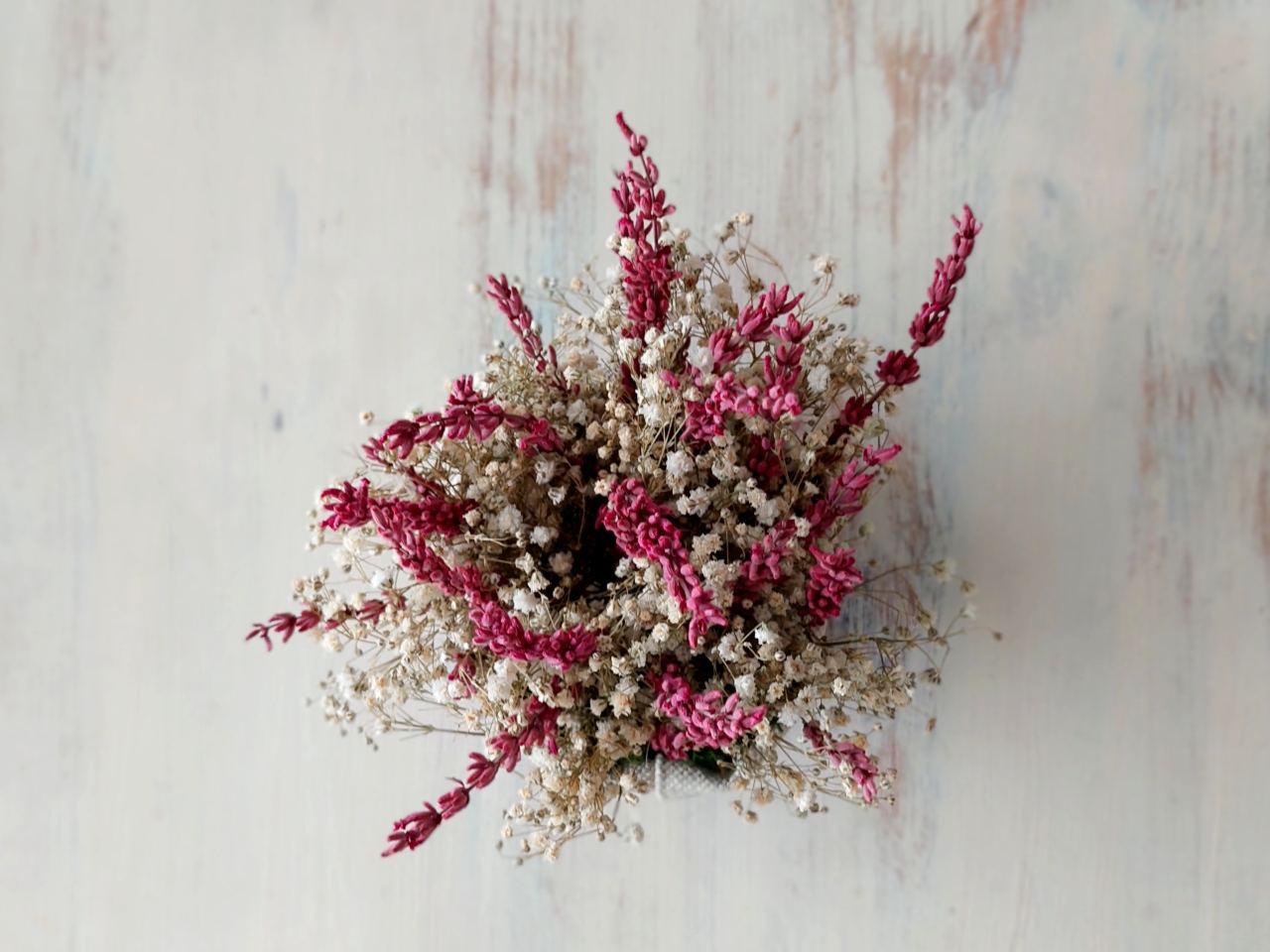 Lavanda y paniculata