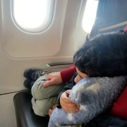 Cojín para viaje